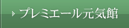 介護老人保健施設 プレミエール元気館